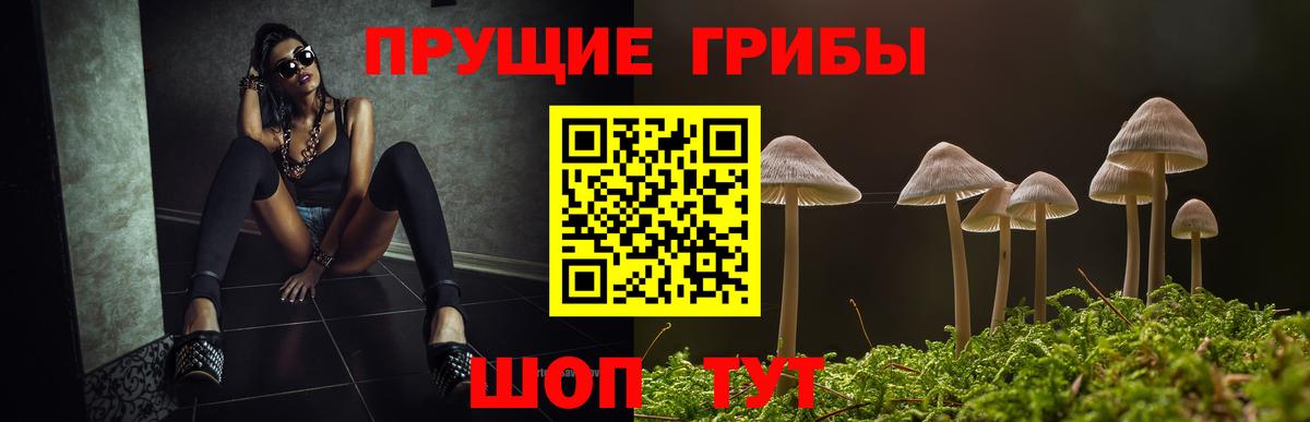 Саратов  Галлюциногенные грибы ЛСД  Псилоцибиновые грибы ЛСД  Вход с VPN 