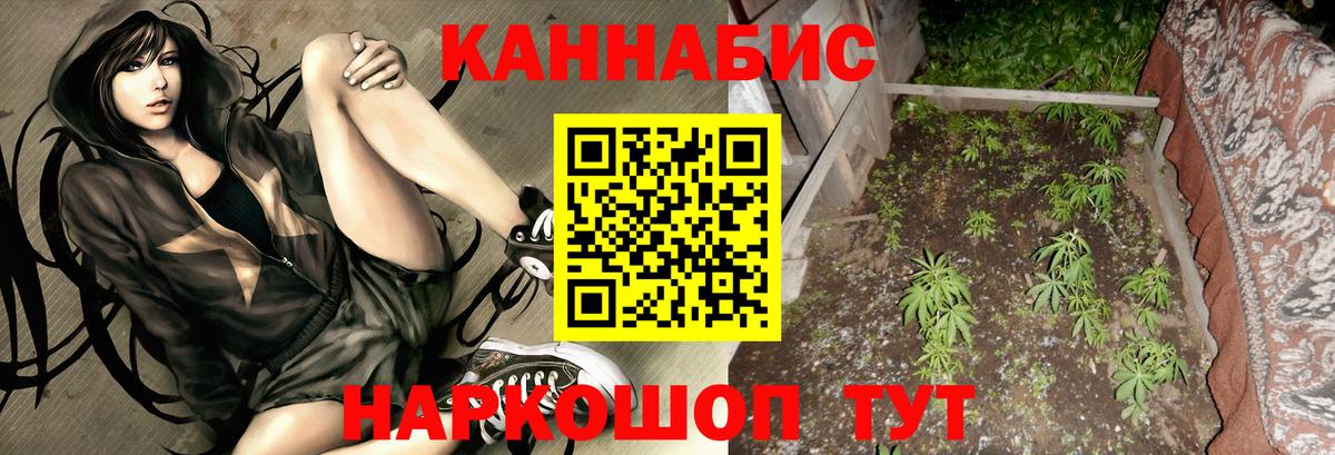 Бошки Шишки ГИДРОПОН Саратов